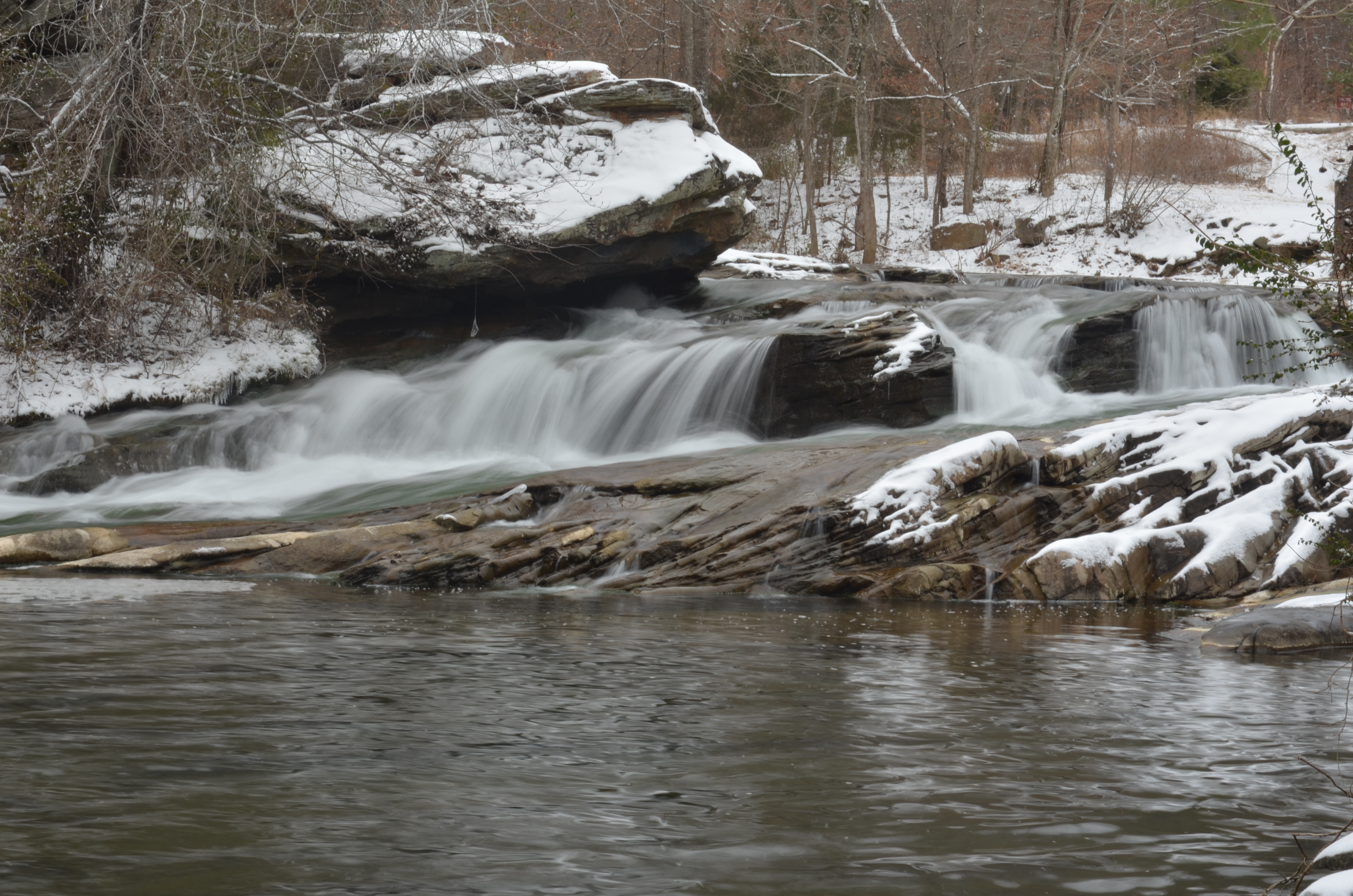 DSC_0470 Turkey Creek Nature Preserve